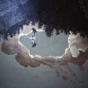 Breaking the silence - detail: pelcians splashing original 30x32